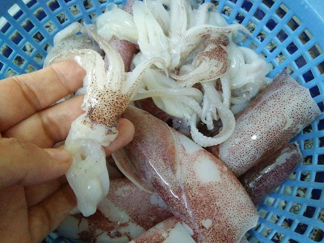 Mamak kari sotong RESEPI SOTONG